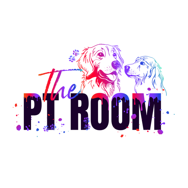 The PT Room