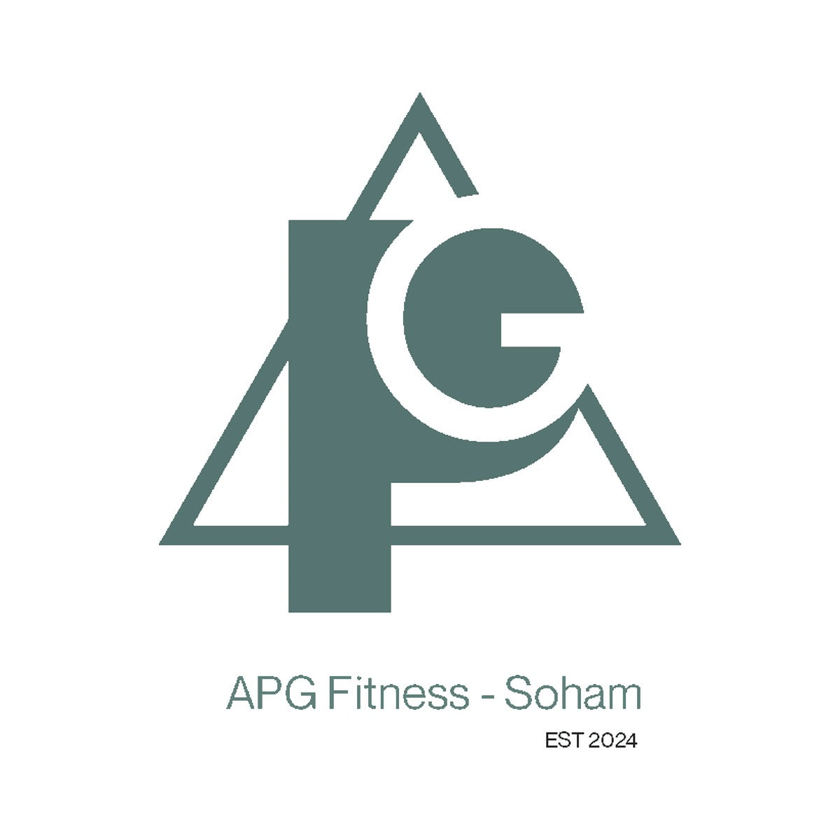 APG Fitness logo