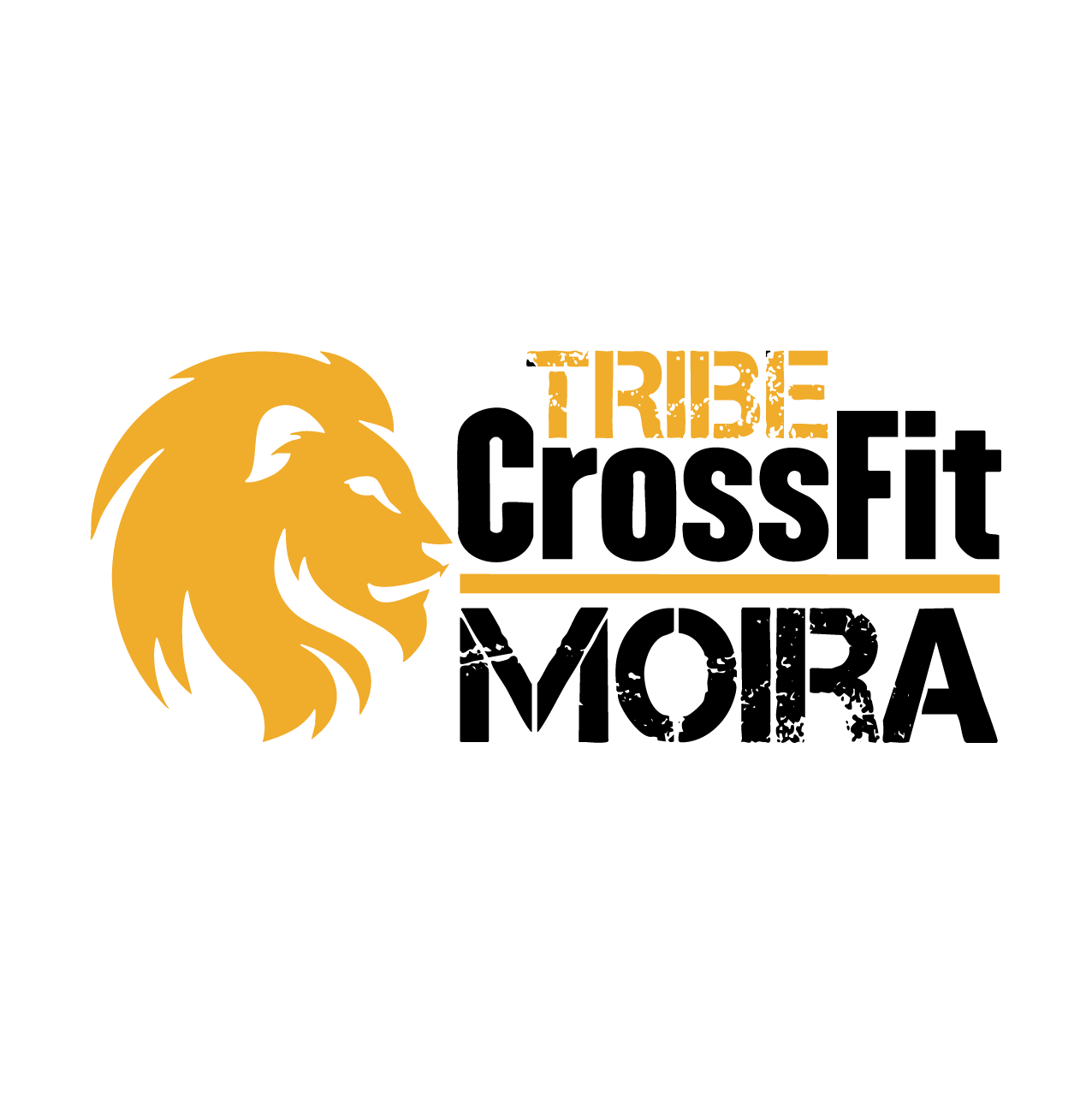 CrossFit Moira