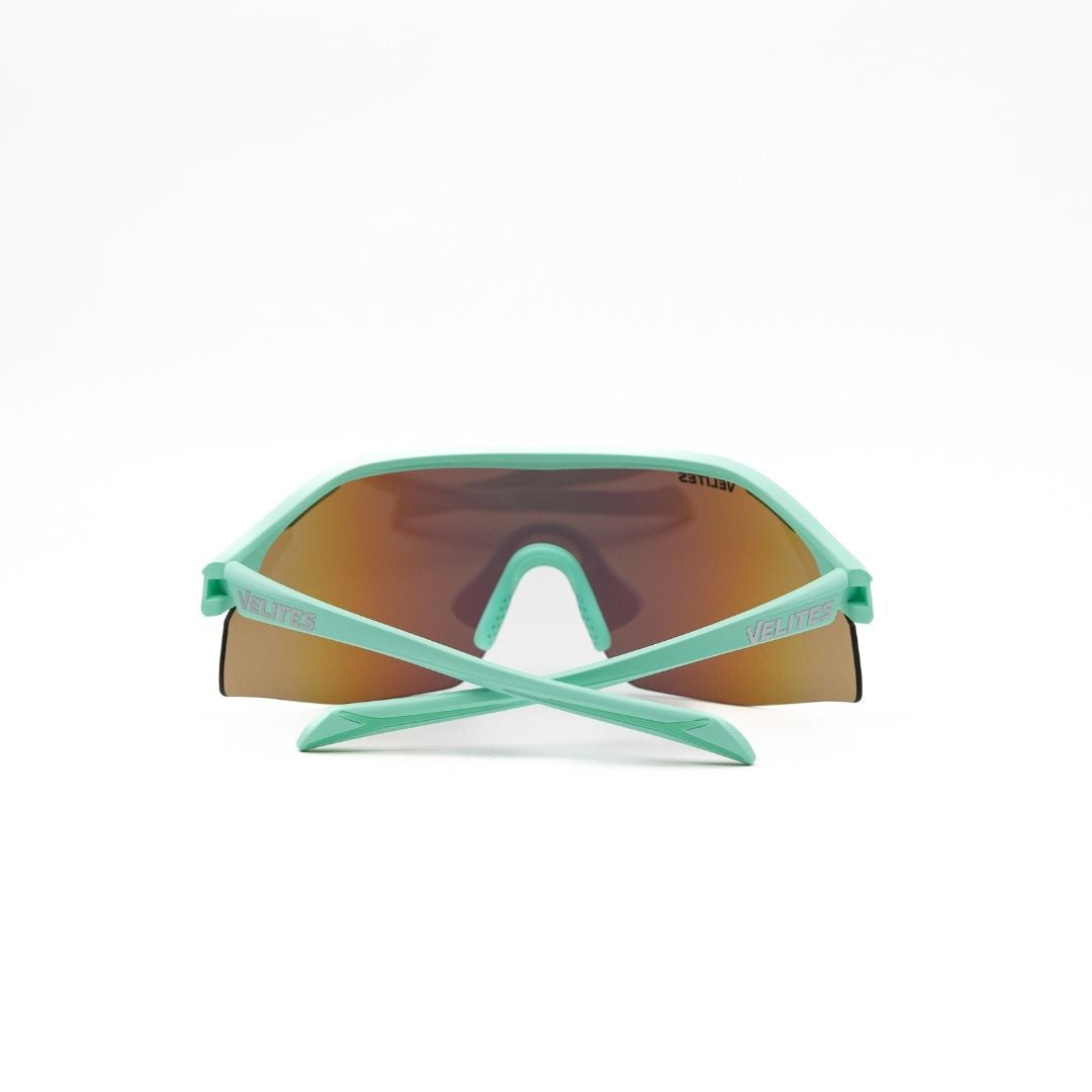 RAPTOR SUNGLASSES