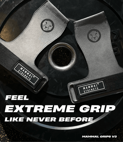Gymnastic Hand Grips - Mammal Grips V3