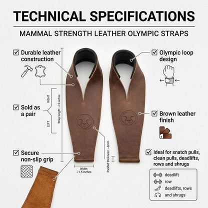 Mammal Olympic Weightlifting Straps