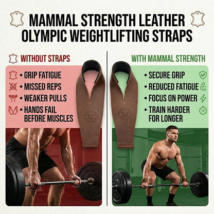 Mammal Olympic Weightlifting Straps