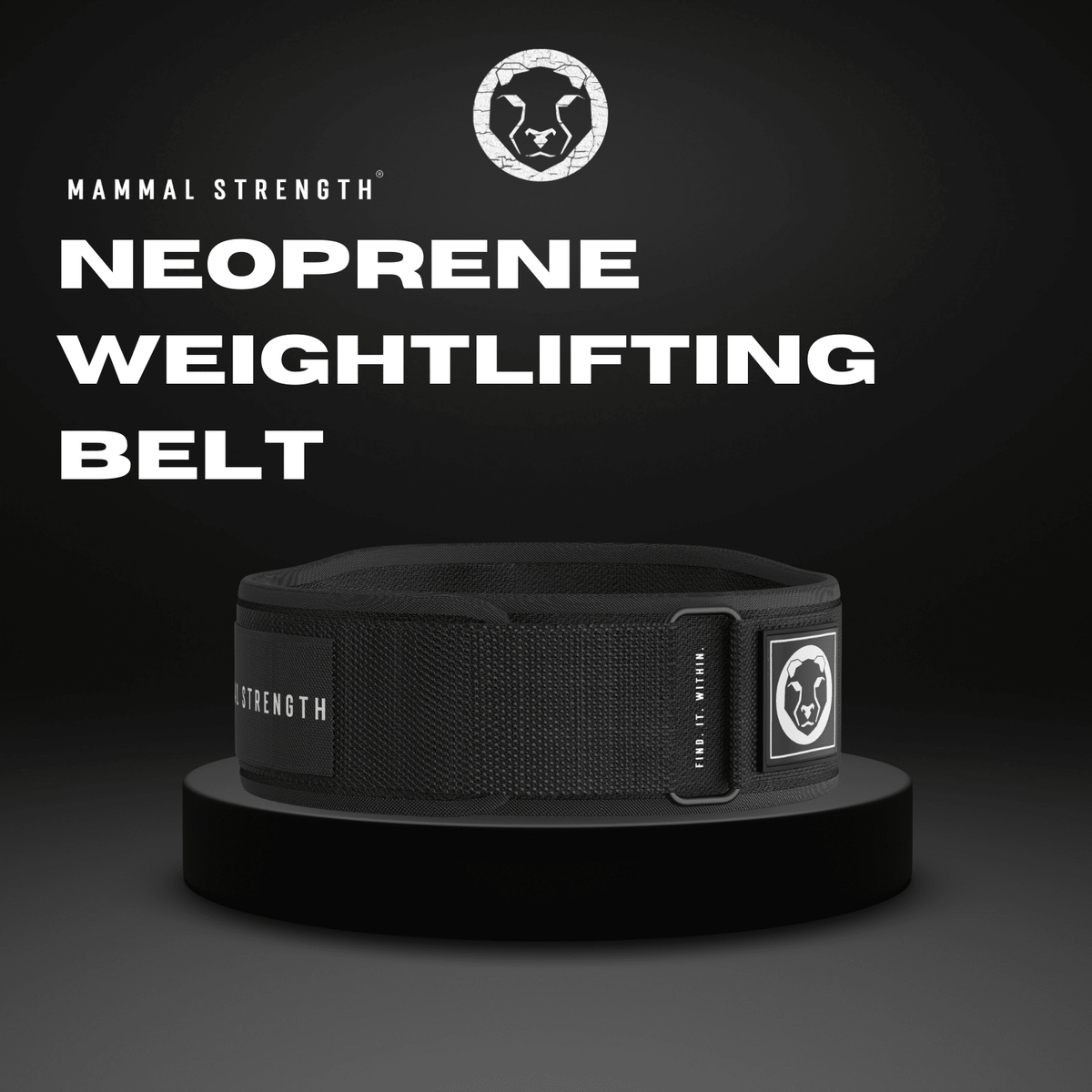 Neoprene Weightlifting Belt "5