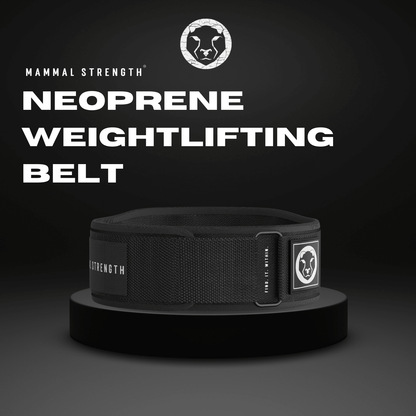 Neoprene Weightlifting Belt "5